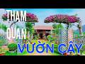 Hai Cây Hoa Giấy Ở Cổng Và Tham Quan Vườn Cây Kiểng Đẹp. #TMtv.