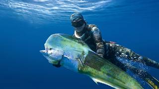 Biggest Mahi of My Life & Wahoo Everywhere | Spearfishing the Promised Land
