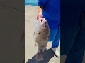 Поймал красавца! Рыбалка на Озере Мичиган