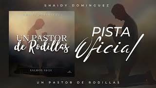 Un Pastor de Rodillas | Shaidy Dominguez [PISTA OFICIAL]