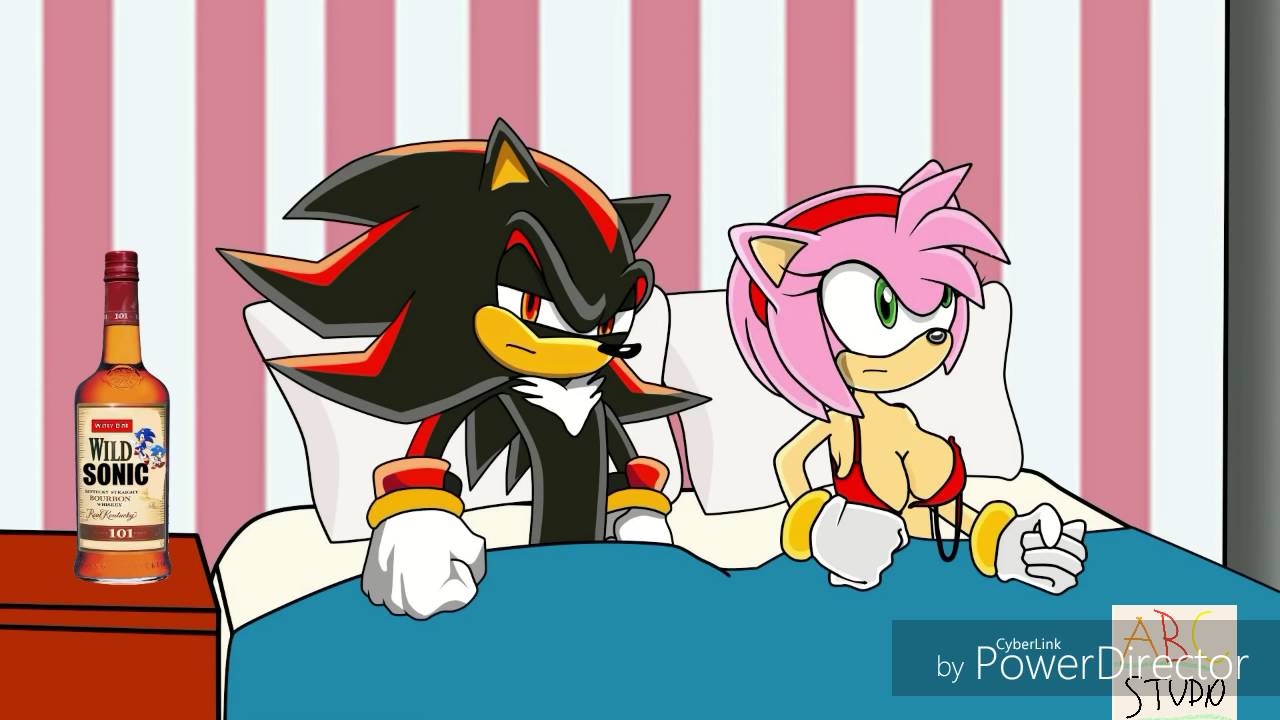 Cartoon Hook Ups, Shadow, Amy, Sonic, Lektor pl.