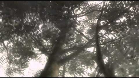 [Minna no NC] Project Zero 2: Wii Edition - Introduction Trailer