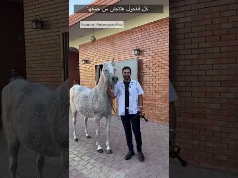  كل الفحول هتتجنن من جمالها