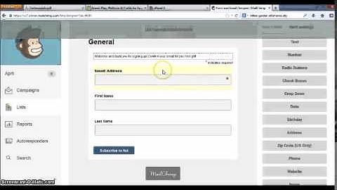 AutoResponders - Creating Opt-In Forms with MailChimp
