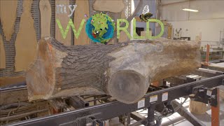 My World Too: The Urban Lumber Movement ***BONUS SCENE***