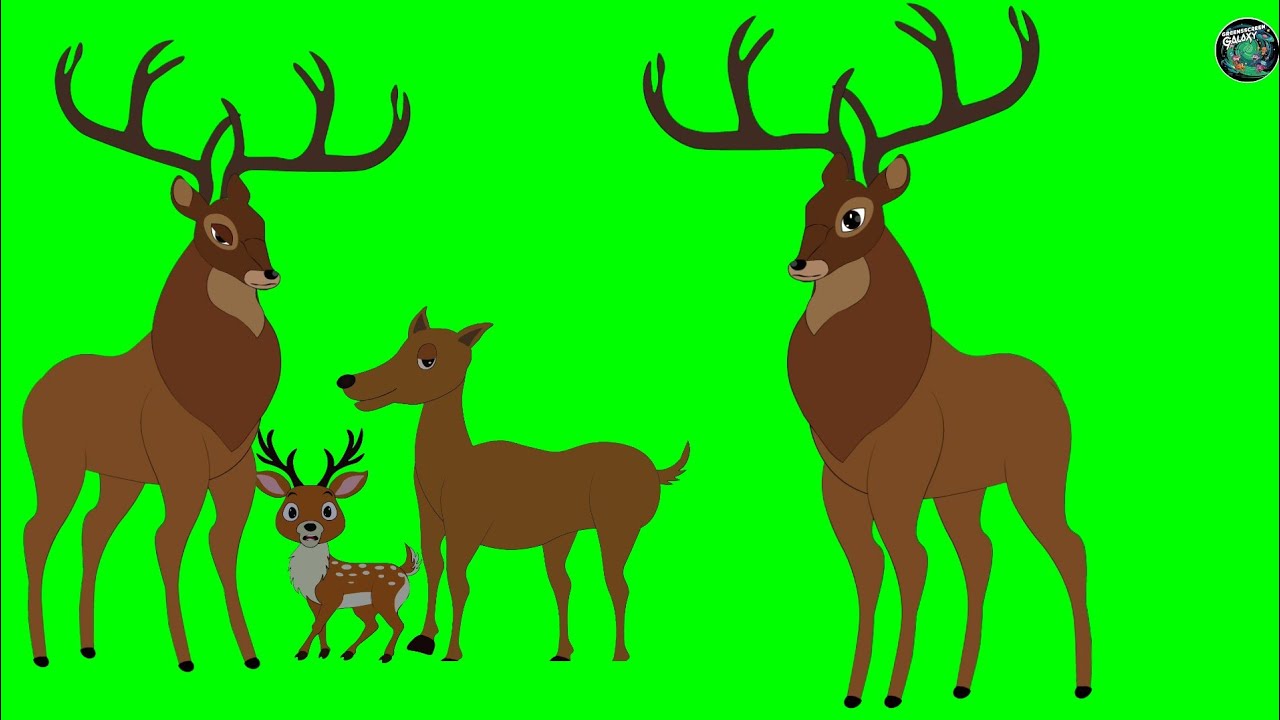 Copyright Free Animated Deer Family|No Copyright Green Screen Animated Animals|Animated Deer