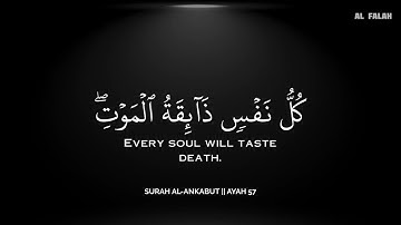 رح سمعك.. تلاوة هادئة تريح القلب والعقل🖤🖤😴 | ساعة كاملة🕛🎧 القارئ محمد هشام | Mohamed Hesham