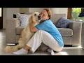 Golden Retriever Loves Hugs And Kisses 
