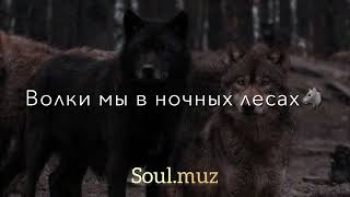 Soul - Волки ( кавер ) - поёт девушка