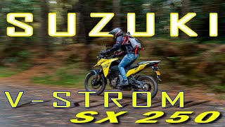 Suzuki Vstrom 250 SX Prueba  Fondo 🔥