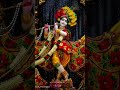 meri jindagi ke sambhalo Kanhaiya #song #sorts #viralvideo #hindisong bhajan 🙏🙏🙏🥀🌺🙏🌺🙏