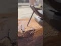 the process of removing nails from wood#shorts