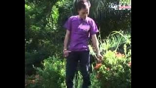 Lagu Minang - Saba Kambang Sitinjau Lauik