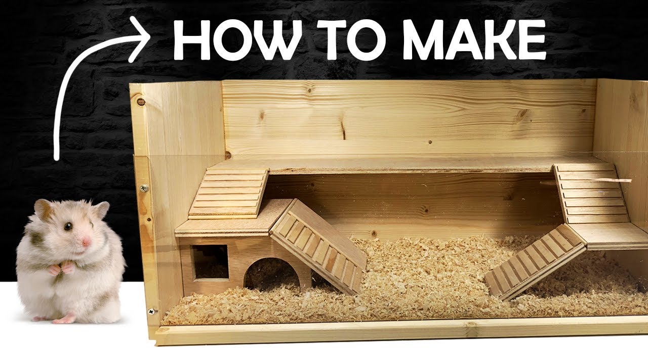 How to make a Hamster House | DIY Pet 