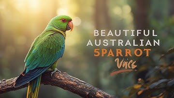 Amazing Australian Parrot 🦜 Singing | Crystal Clear Bird Voice