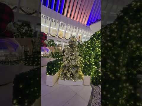 NYC Christmas Downtown 2021