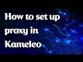 How to set up a proxy in Kameleo