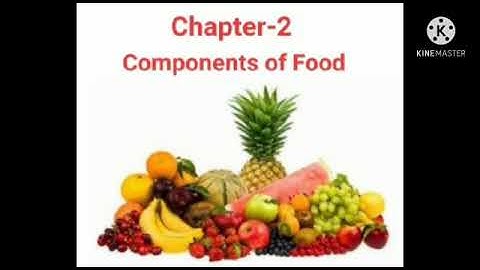 Class-6/science/chapter-2/components of food/Balanced diet/by Tanu Kalra