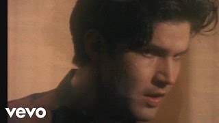 Video thumbnail of "Lloyd Cole And The Commotions - From The Hip"