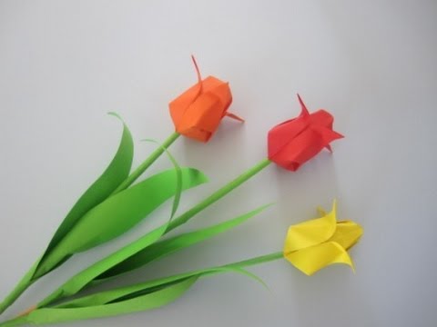 Tulpen aus papier falten. einfach und schön. origami youtube