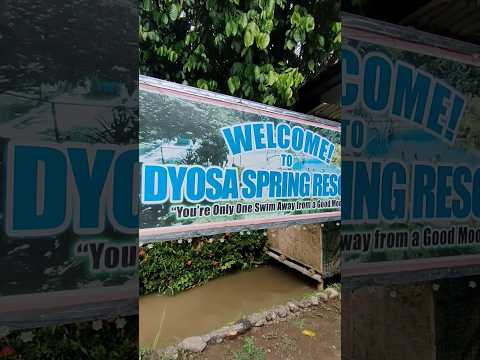 DYOSA SPRING @jameslatip