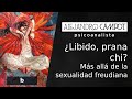 ¿Libido, prana, chi? Más allá de Freud.