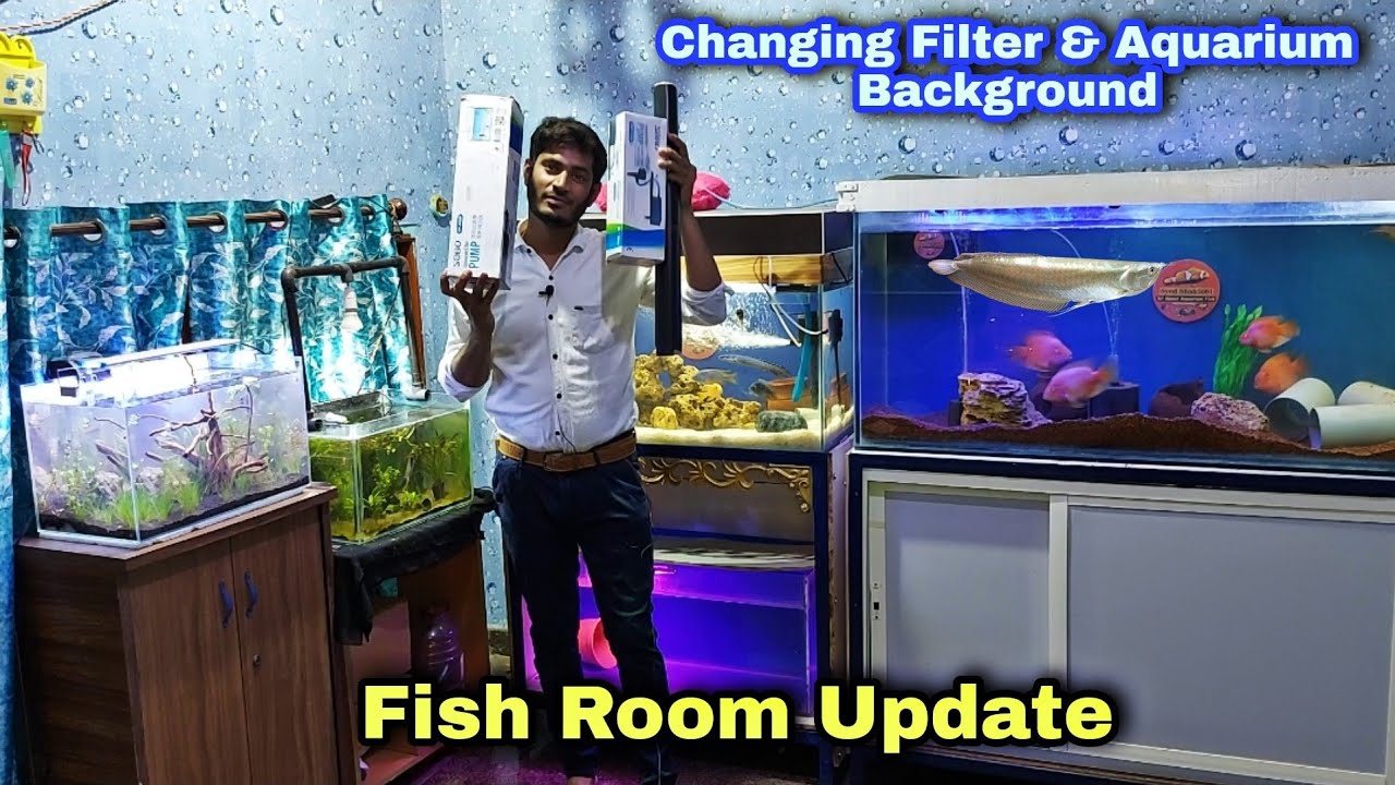 aquarium background filter