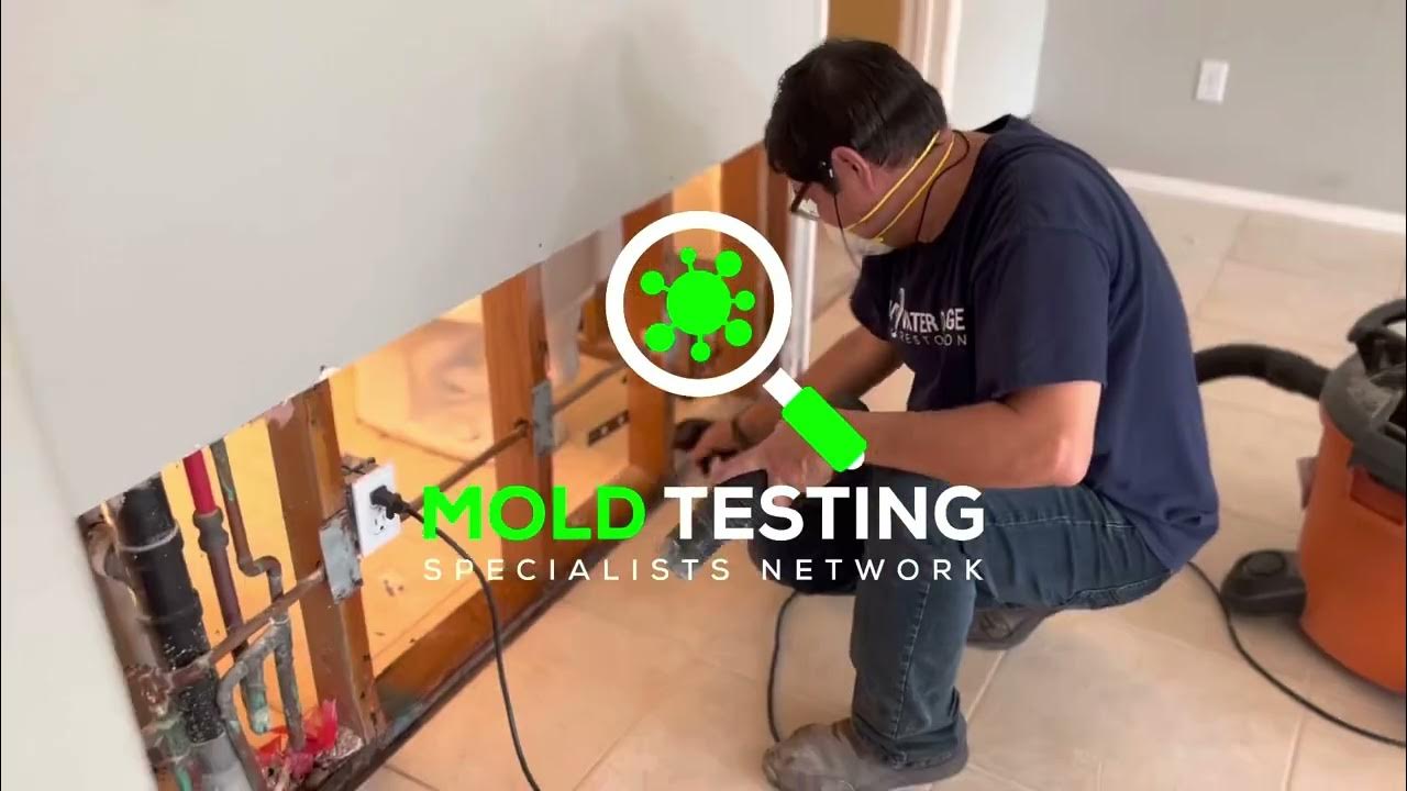 Mold Testing & Mold Inspections