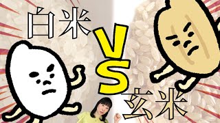 【白米 VS 玄米】世間の常識は誤り!?管理栄養士が『ホントの力』を解説 正しい食べ方を知って炭水化物を上手に摂取！【お米生活】