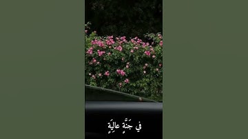 وُجُوهٌ يَوْمَئِذٍ نَّاعِمَةٌ * لِسَعْيِهَا رَاضِيَةٌ * سورة: الغاشية / القارئ : عبد الرحمن مسعد 🌷.