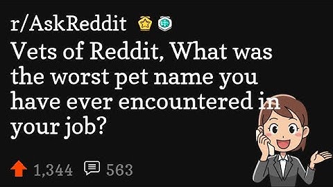 Vets of Reddit, What was the worst pet name you have ever encountered in your job?