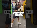 #floydmayweather #boxing #shorts #trending #mma #viral #stream #ishowspeed #fyp #reels #tiktok