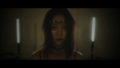 ANIMÅRUM - Vikalpa (OFFICIAL VIDEO)