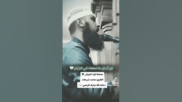 تلاوة خاشعة من القارئ محمد شيحات