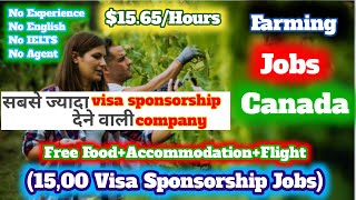jobs in canada for foreigners|canada jobs for foreigners |FarmJobs
