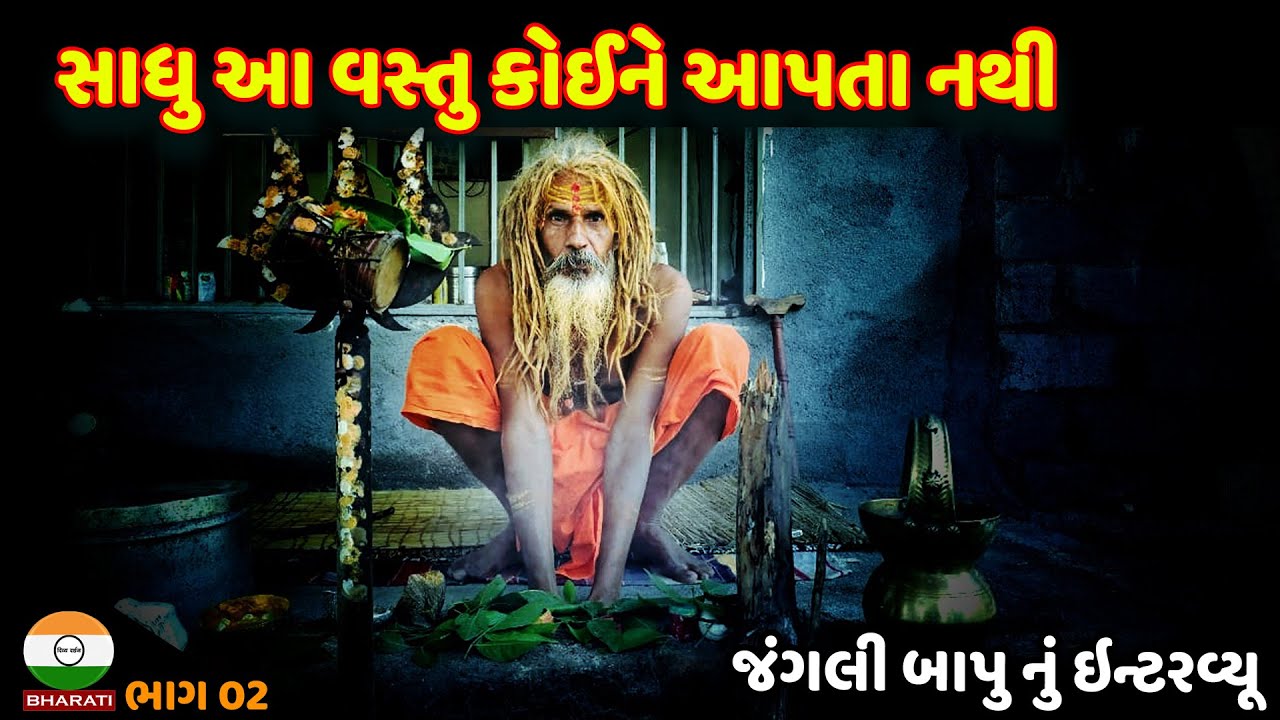 સાધુ પરંપરામાં દાઢી જટા નું મહત્વ ।। જંગલી બાપુ સાથે સત્સંગ || jangli bapu interview