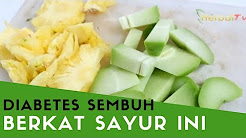 ciplukan obat diabetes kolagit