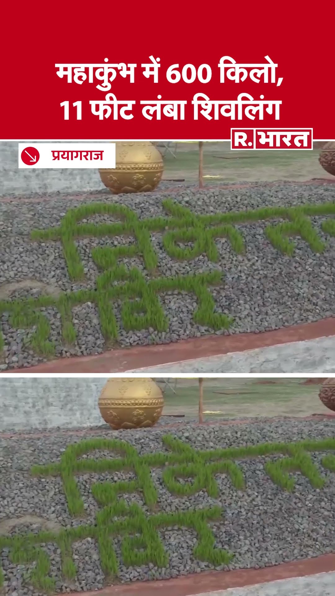 महाकुंभ में 600 किलो, 11 फीट लंबा शिवलिंग, मचान पर चढ़कर भक्त करेंगे रूद्राभिषेक #shorts