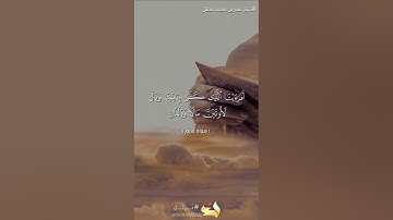 تلاوه خاشعه من الشيخ عمر محمد فضل امام وخطيب جامع عمار بن ياسر بالخبر