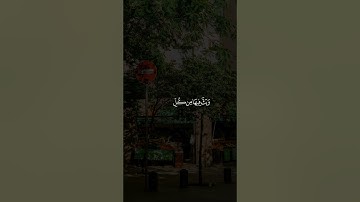 خَلَقَ السَّمَاوَاتِ بِغَيْرِ عَمَدٍ تَرَوْنَهَا ۖ ||تلاوة خاشعة جميلة بصوت#ماهر_المعيقلي