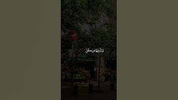 خَلَقَ السَّمَاوَاتِ بِغَيْرِ عَمَدٍ تَرَوْنَهَا ۖ ||تلاوة خاشعة جميلة بصوت#ماهر_المعيقلي
