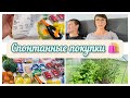 Маленькие покупки 🛍 Переживаю за Марселя 🙈 Каждый день собираем по 5-6 огурцов 🥒Погода меняется🌪