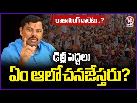What Is Raja Singh Future Plan.. | V6 News - V6NEWSTELUGU