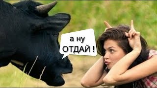 Он НЕ ТВОЙ - Теперь Он НАШ ! Добываем Крутой Крем в Ветеринарной Аптеке. Покупки за копейки!