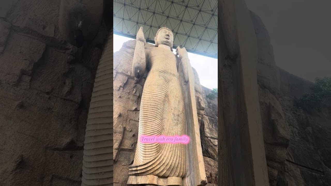 Travel with eco family 