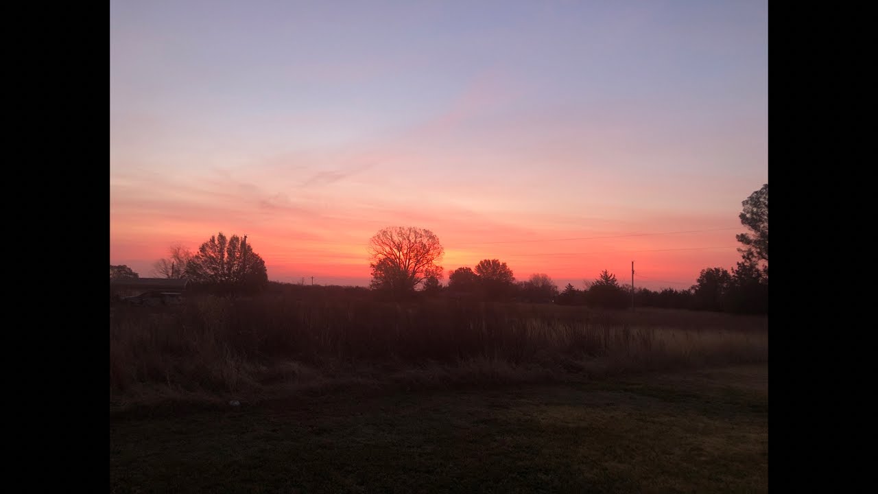 Sunrise and BIG Homestead News! Garden Expansions, Seed Trades & What We’re Changing for 2026