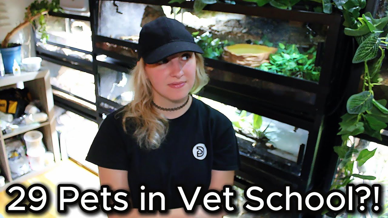 29 Pets While In Vet School