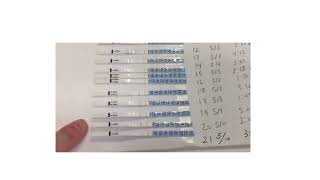 How to Use an LH Test Stick