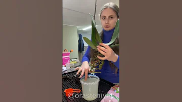 Как пересадить ОРХИДЕЮ🌸 #уходзацветами