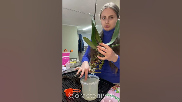 Как пересадить ОРХИДЕЮ🌸 #уходзацветами
